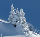 Alpen-PUR ... und ois vom Feinsten Alpen-PUR ... und ois vom Feinsten